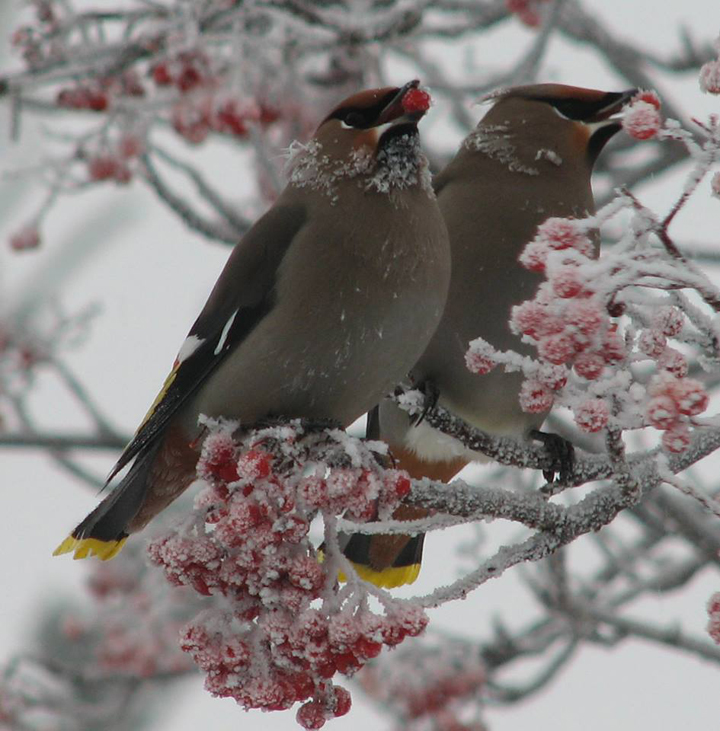 March 3: This Your Saskatchewan picture was taken by Rob Venn in Prince Albert.