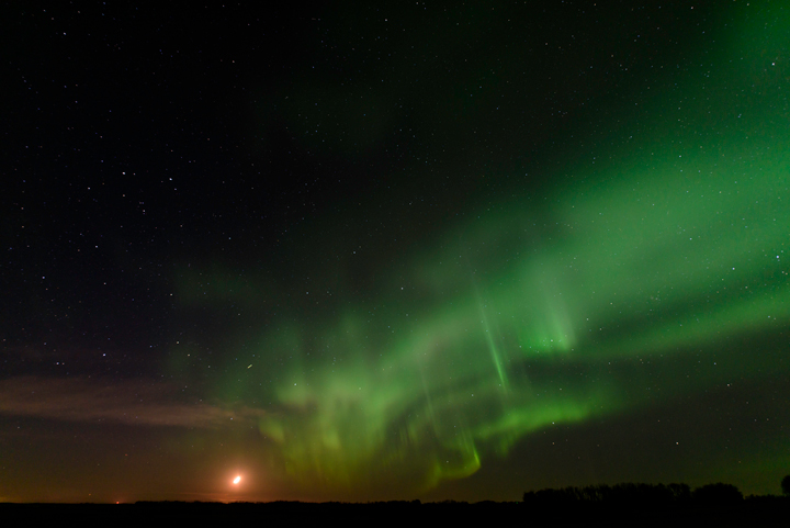 March 17: This Your Saskatchewan photo of the northern lights was taken by Notanee Bourassa north of Regina.