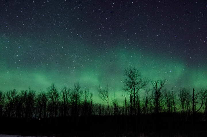 March 31: Valerie Horner took this Your Saskatchewan photo of the auroras near Prince Albert.