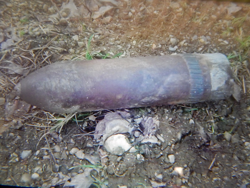 Explosives found in rural area ditch in Sicamous - image