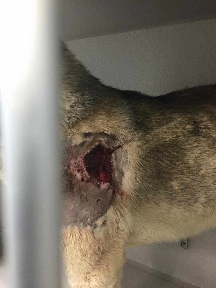 Remington road to recovery