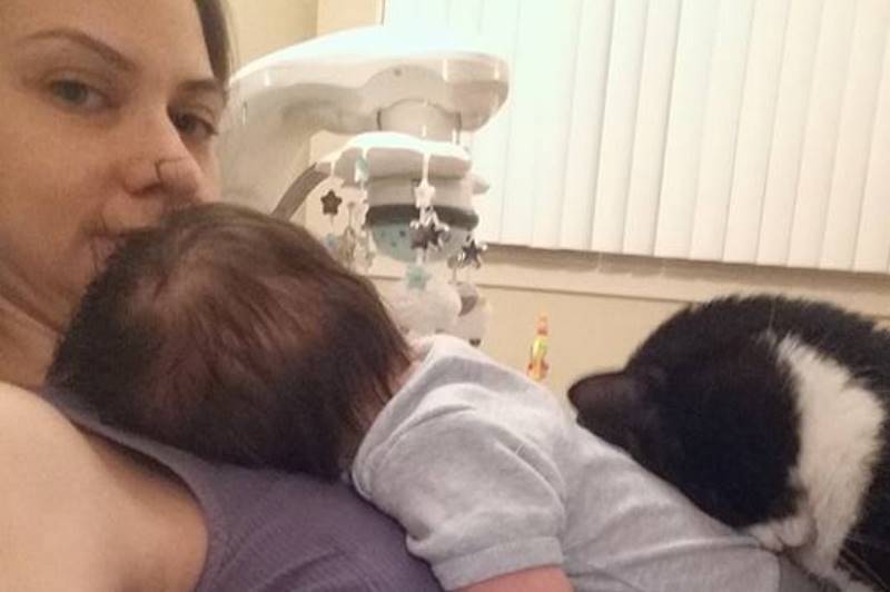 This  might be the cutest thing you see all day. 