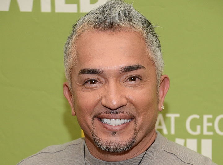 Dog Whisperer' Cesar Millan won't face charges following animal cruelty  investigation - National | Globalnews.ca