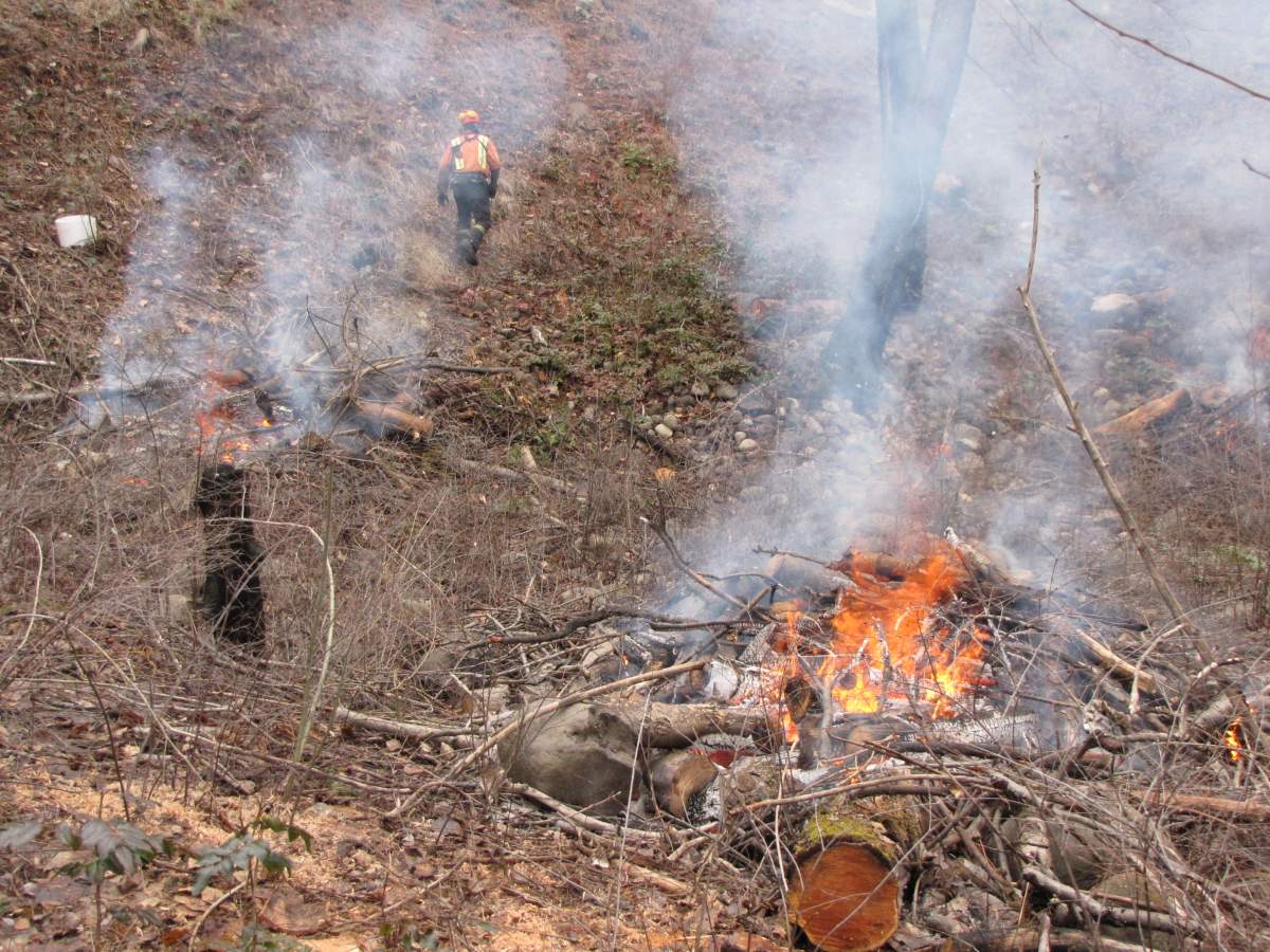 Open burning taking place in the central Okanagan on Sunday. 