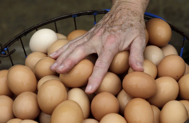 cpt500327745_high.jpg?quality=65&strip=a