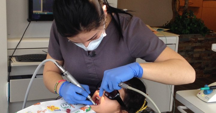 Canada has a dental assistant lack. Authorities fret it’ll only get even worse – National