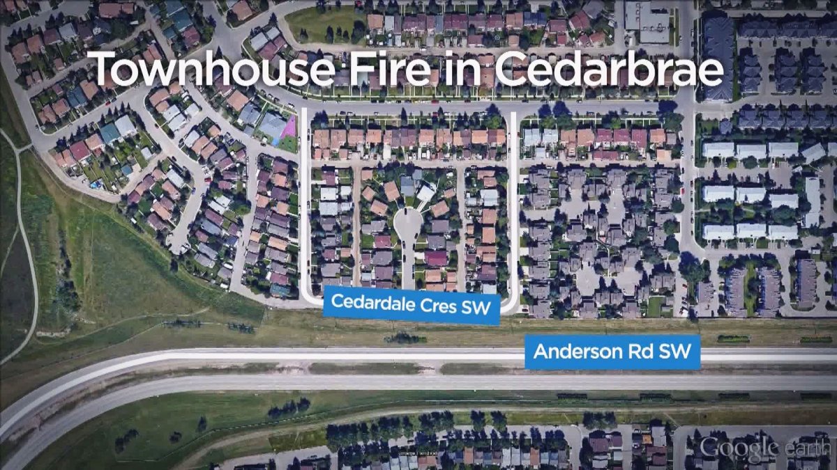 Woman and her dog flee townhouse fire in Cedarbrae - image
