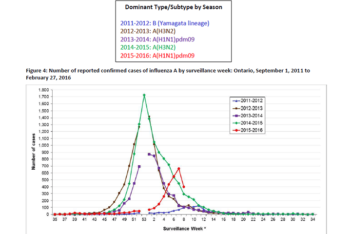 Ontario flu cases rising after ‘late season’ start; warm winter may be factor - image