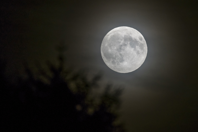 Should Easter be on a fixed date, or should it depend on the full moon? The debate isn't likely to be resolved any time soon. 