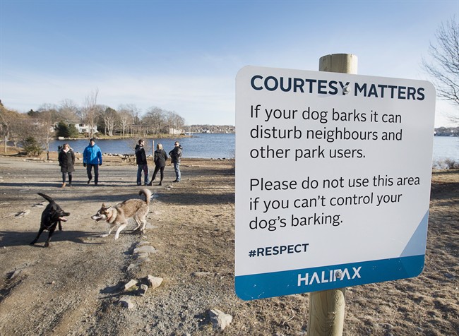 Shubie Beach is seen in this undated file photograph. 