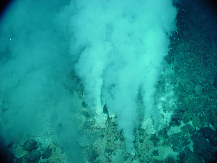 Hydrothermal vents in the Marianas Trench.
