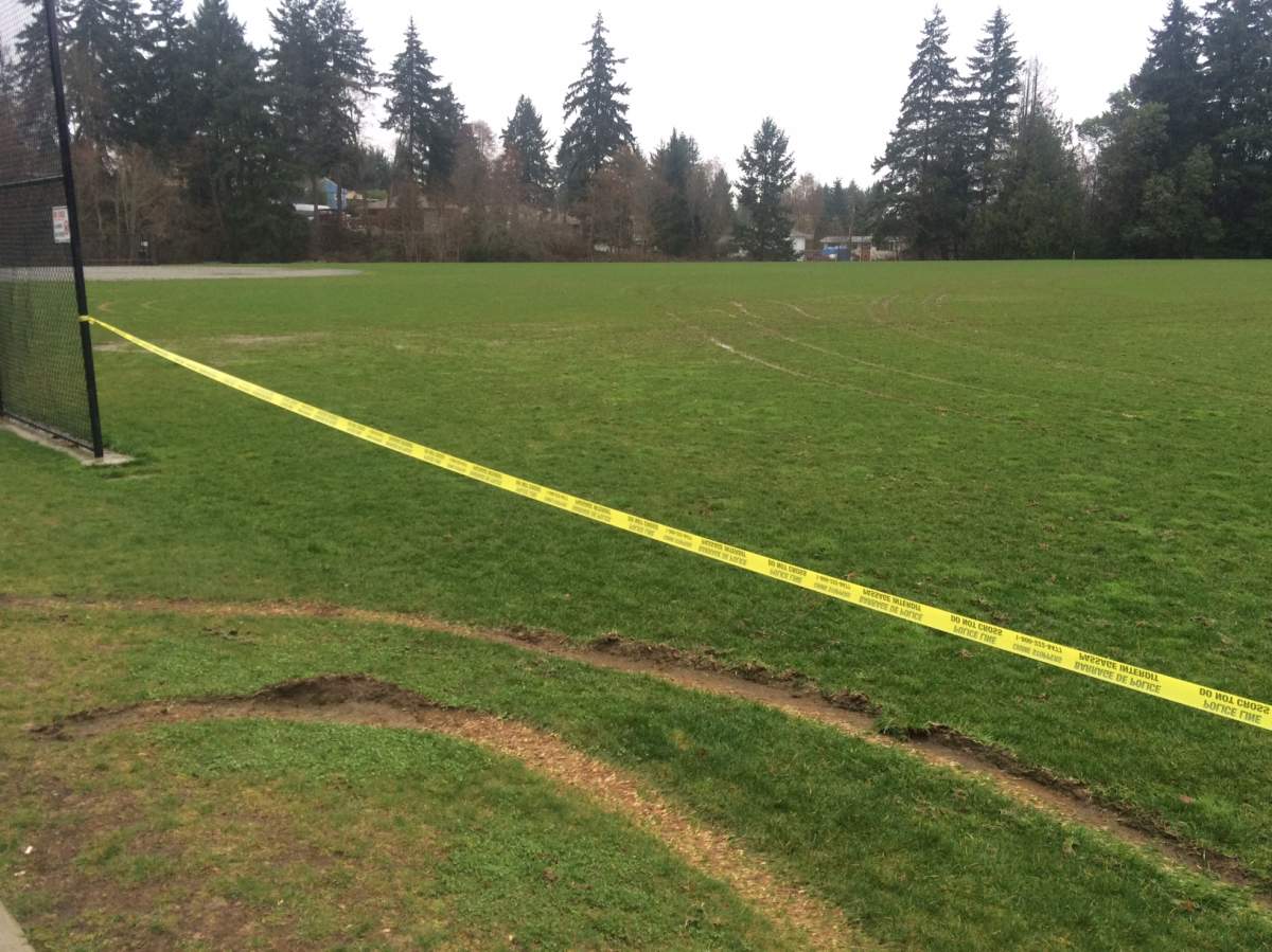 Nanaimo man arrested after sports fields damaged - image
