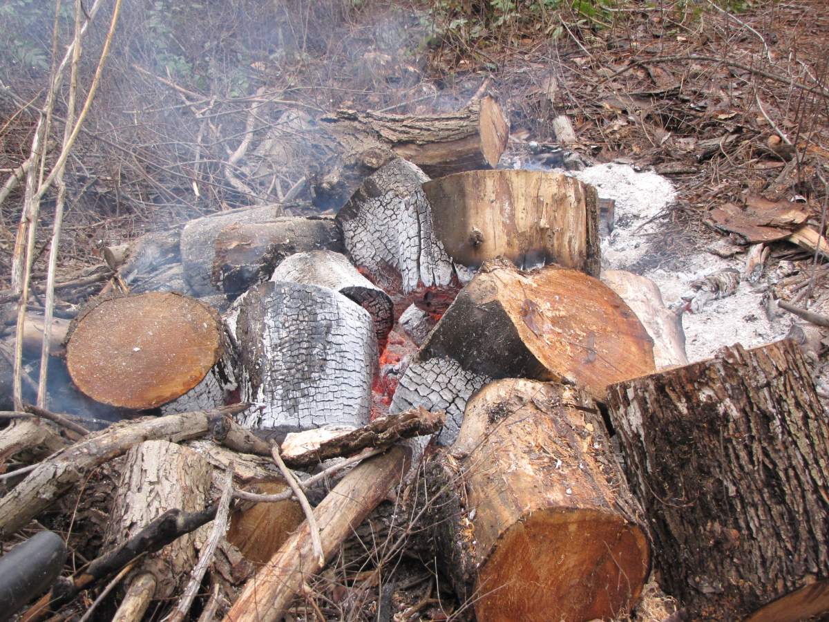 Controlled burning is taking place in the central Okanagan on Monday. 