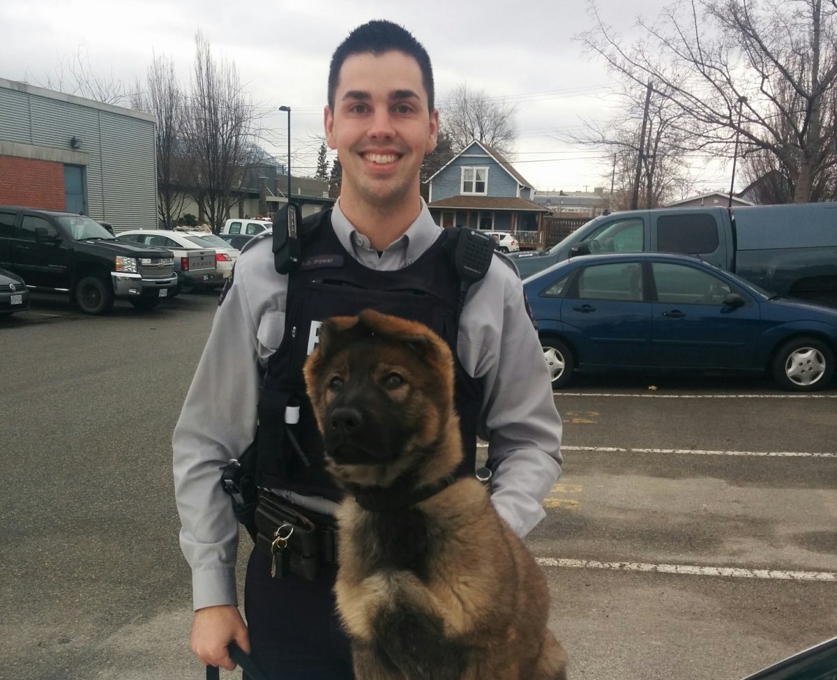 Cst. Brad Power of the Penticton RCMP Detachment with future police dog Hannie, who was named this week.