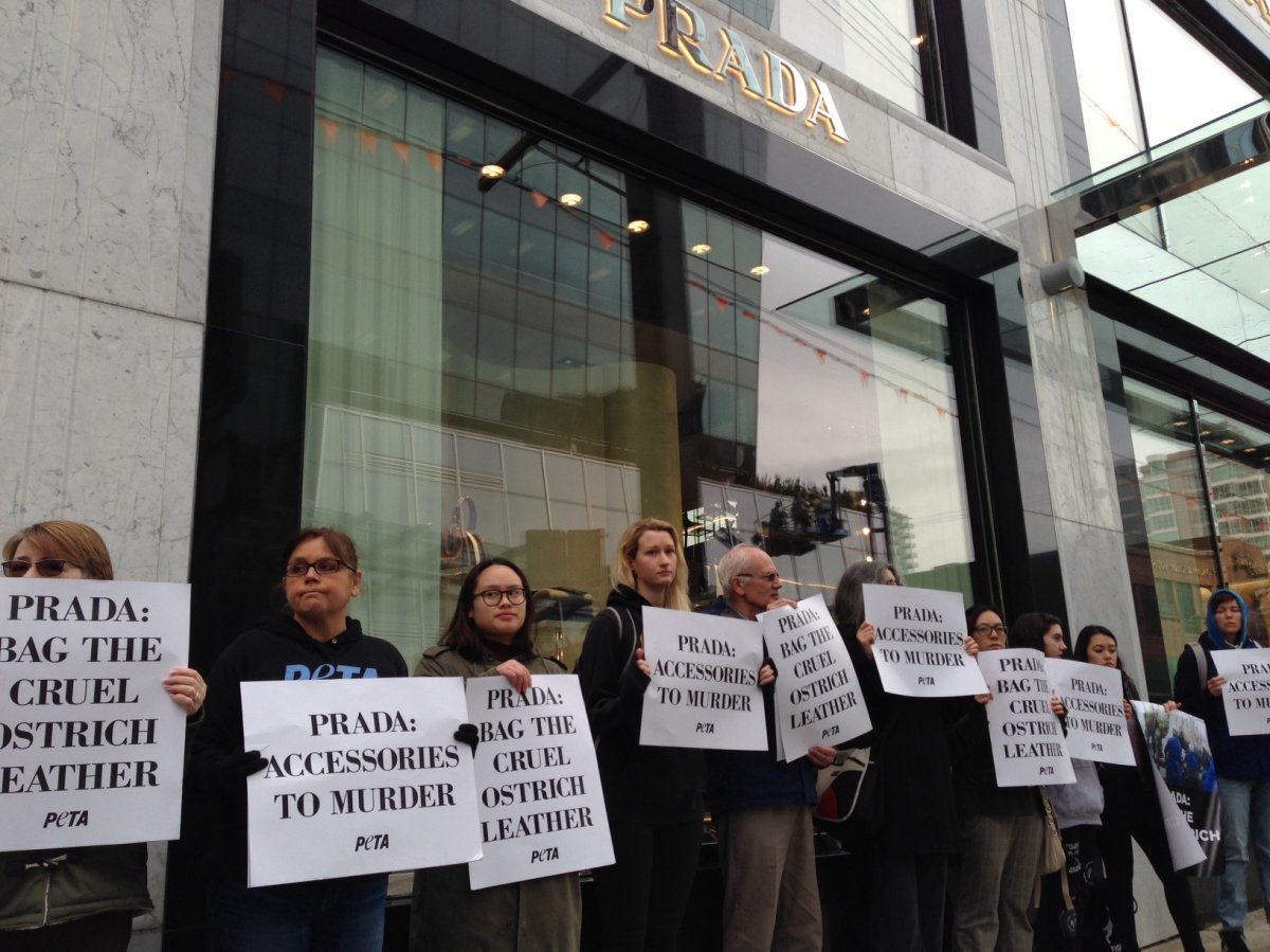 Protesters gather outside Prada’s new Vancouver store to highlight treatment of ostriches - image