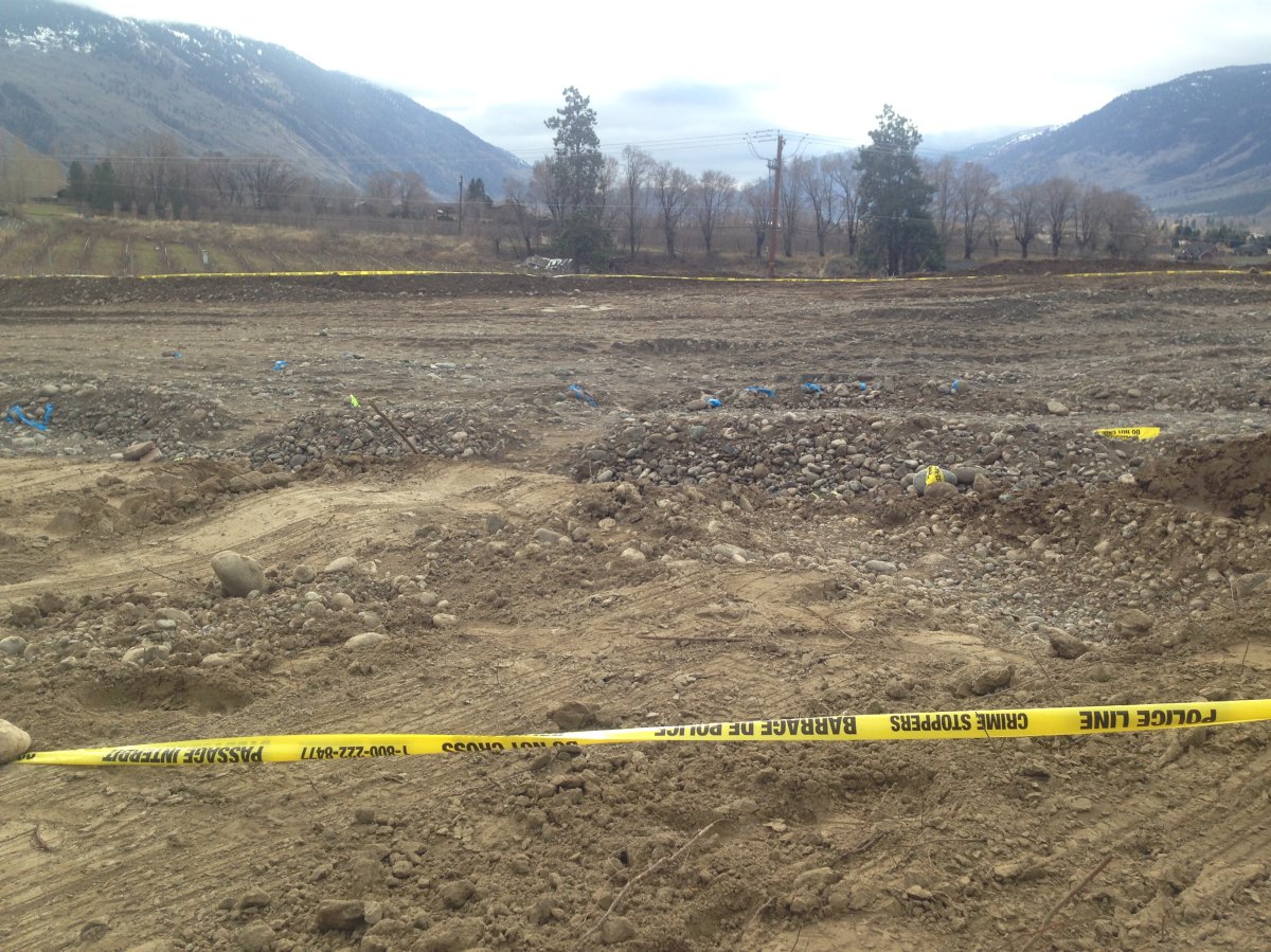 An excavator discovered ancestral remains on an orchard in Cawston.