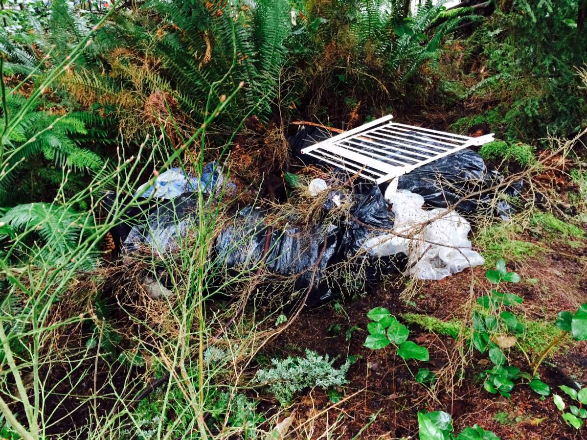 One man is on a quest to clean up all the garbage lurking in the bushes of Vancouver's Stanley Park.