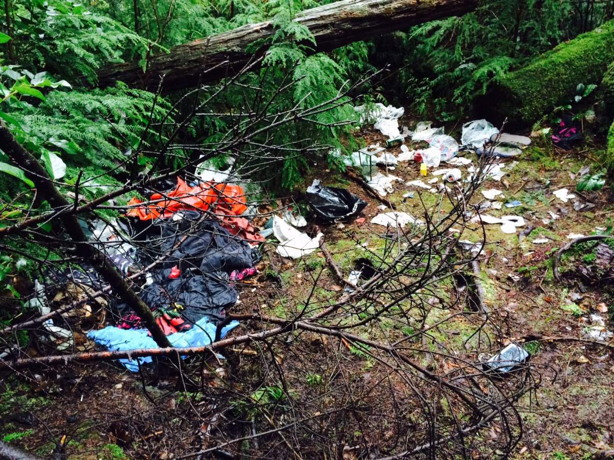 One man is on a quest to clean up all the garbage lurking in the bushes of Vancouver's Stanley Park.