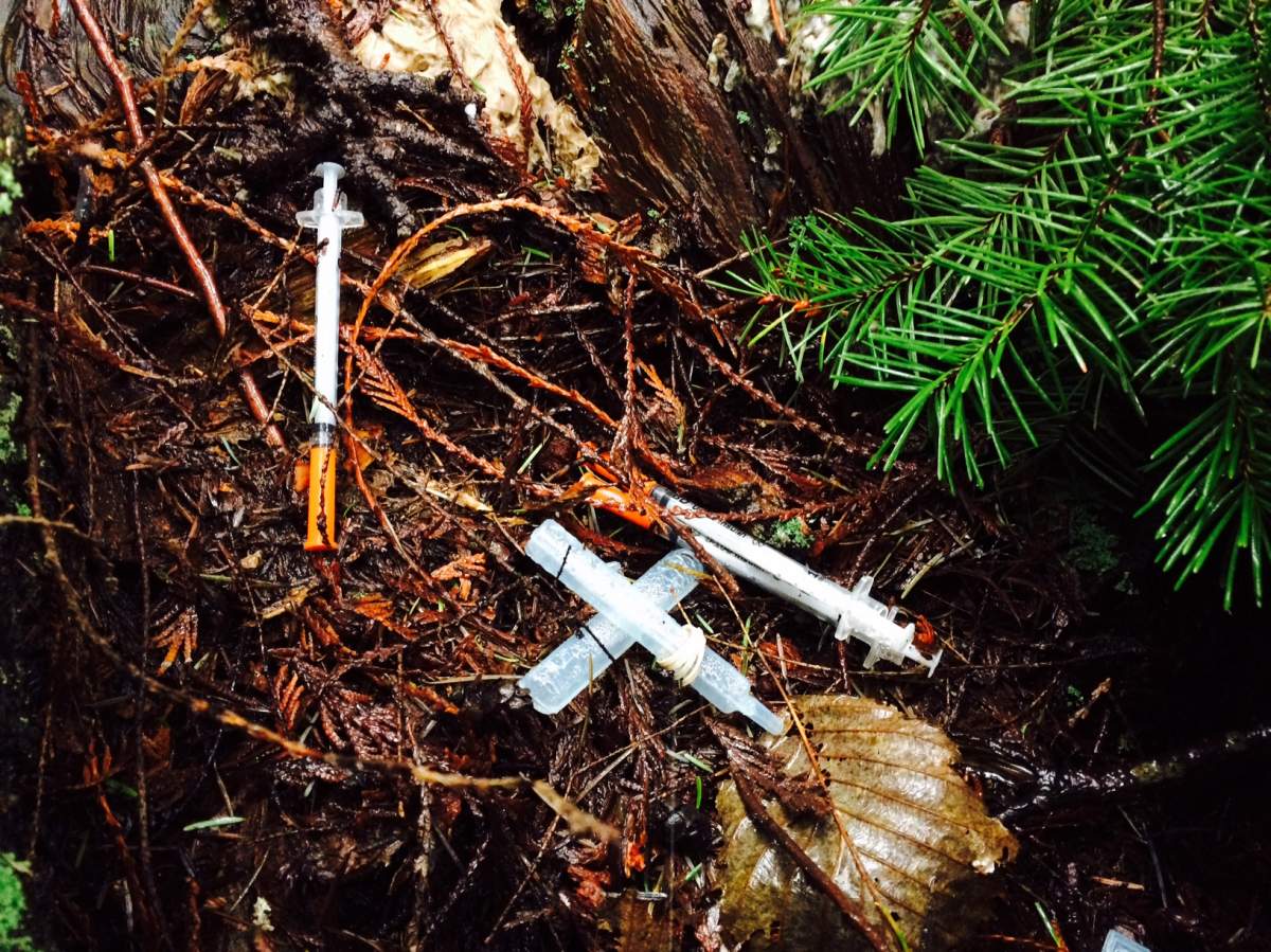 One man is on a quest to clean up all the garbage lurking in the bushes of Vancouver's Stanley Park.