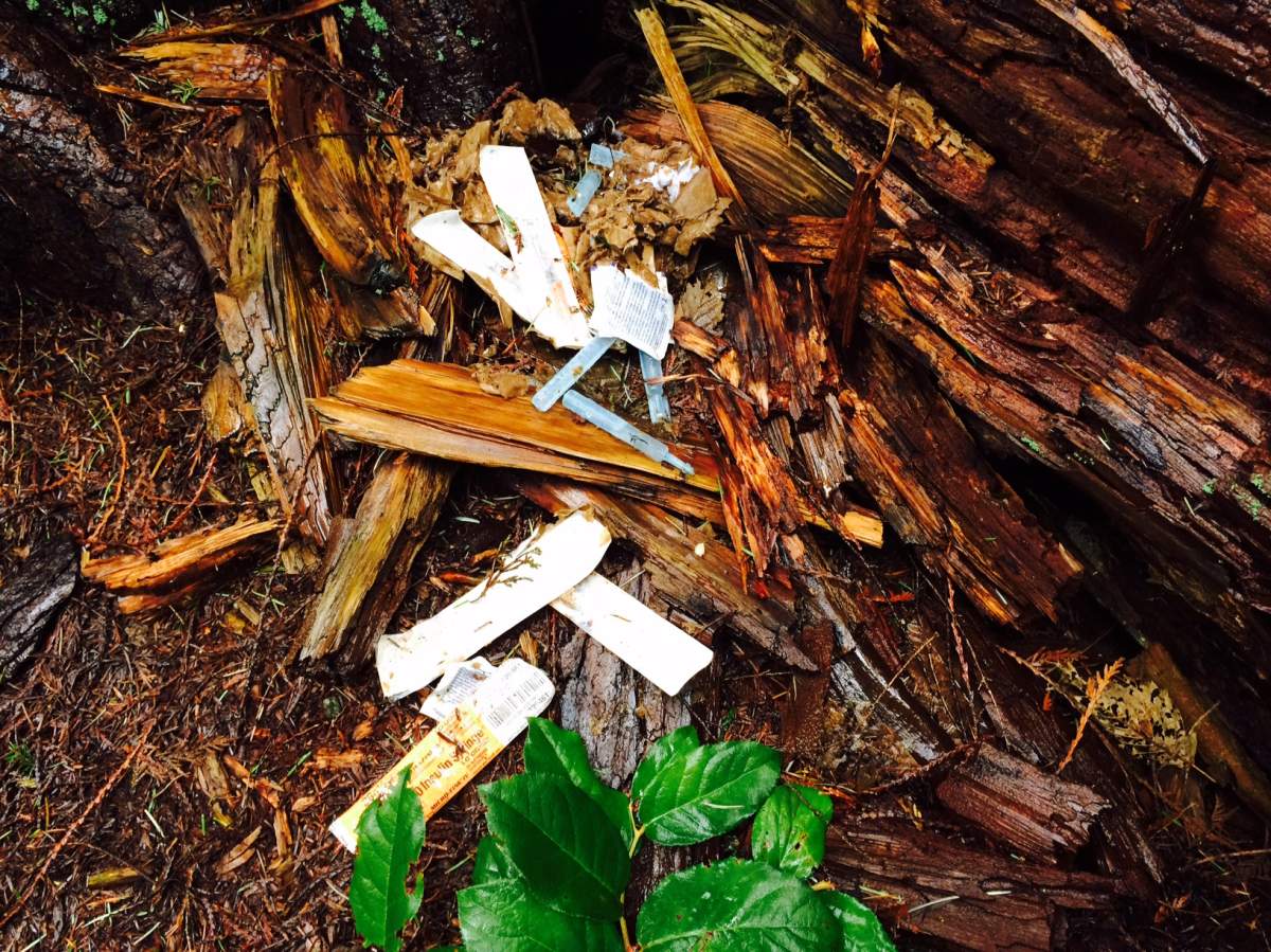One man is on a quest to clean up all the garbage lurking in the bushes of Vancouver's Stanley Park.