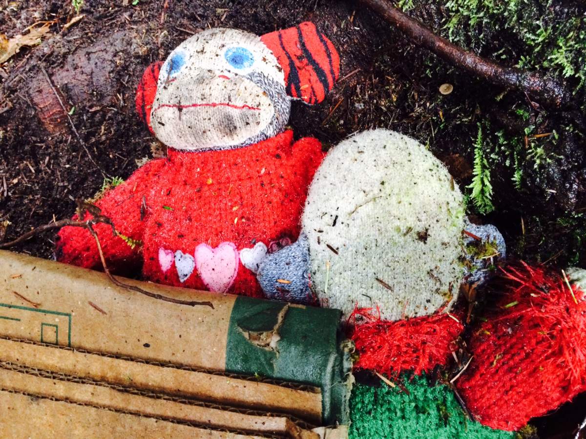 One man is on a quest to clean up all the garbage lurking in the bushes of Vancouver's Stanley Park.