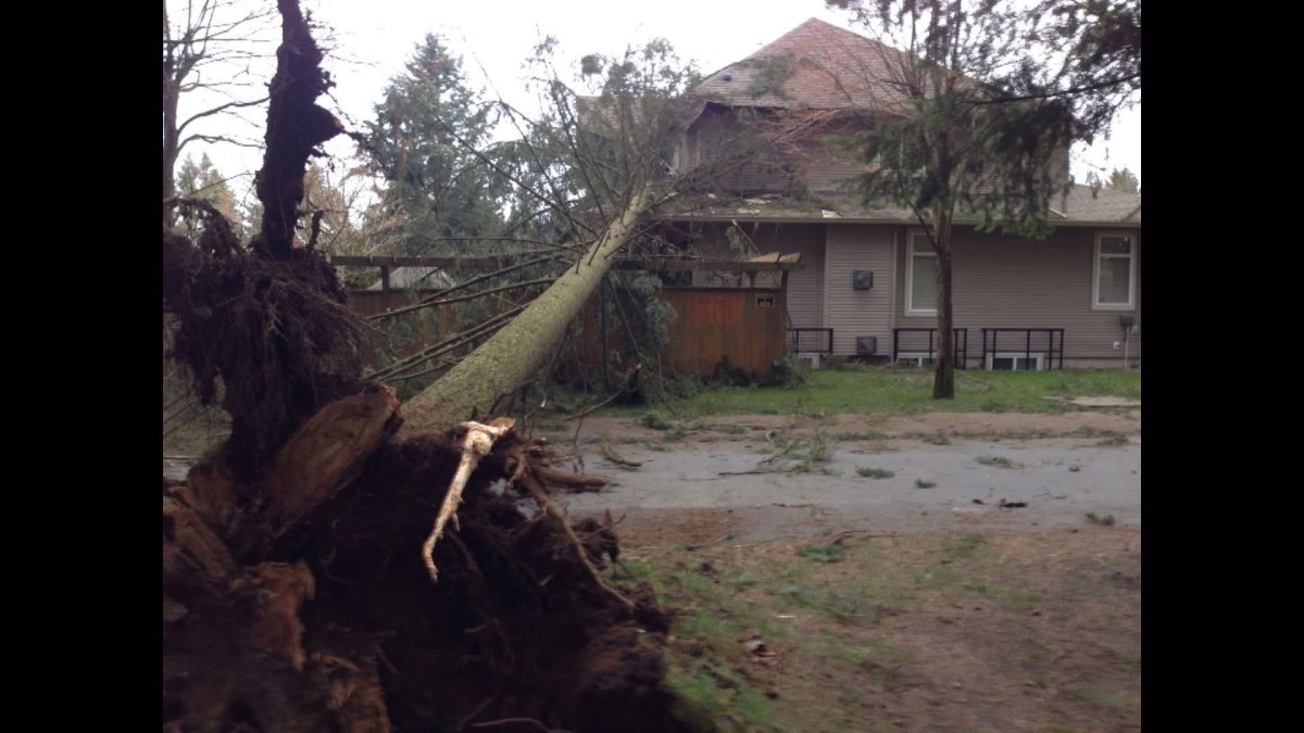 Thousands without power on BC’s South Coast following windstorm - BC ...