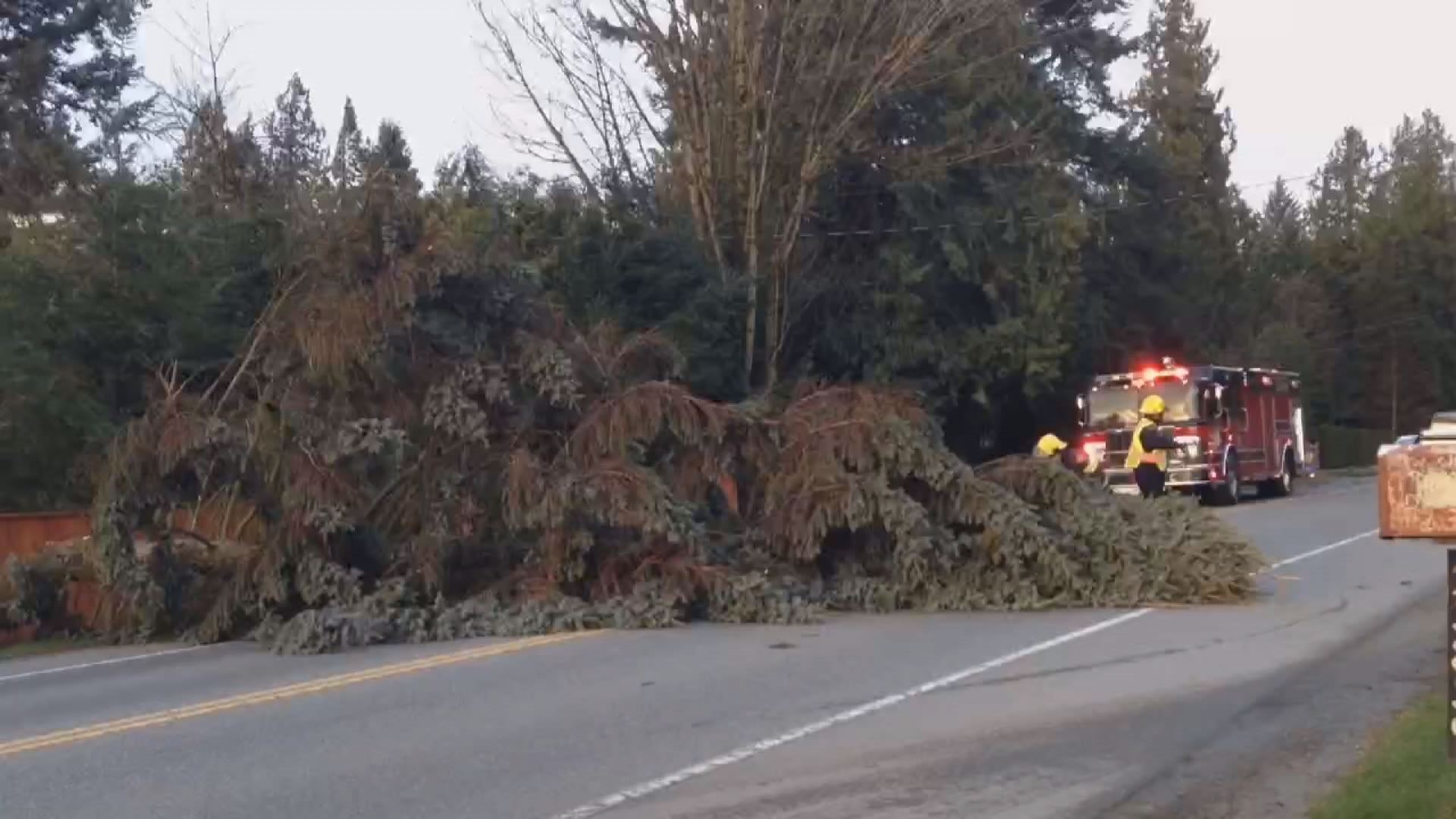 Thousands Without Power On BC’s South Coast Following Windstorm - BC ...