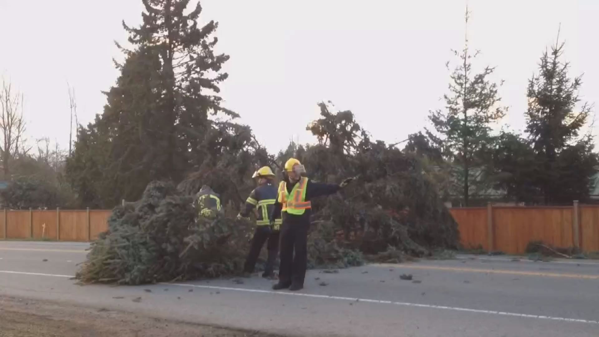 Thousands Without Power On BC’s South Coast Following Windstorm - BC ...