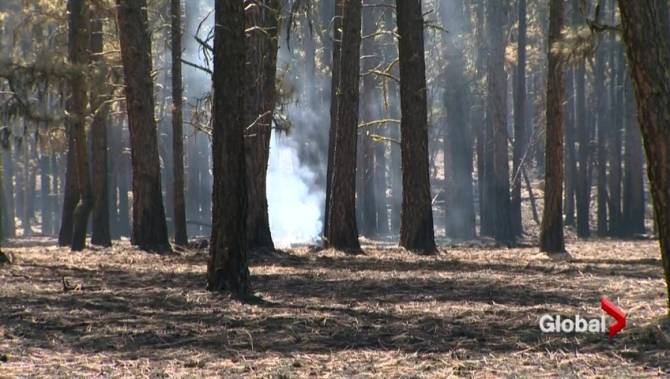 BC Wildfire Service dealing with first wildfires of 2016 - image
