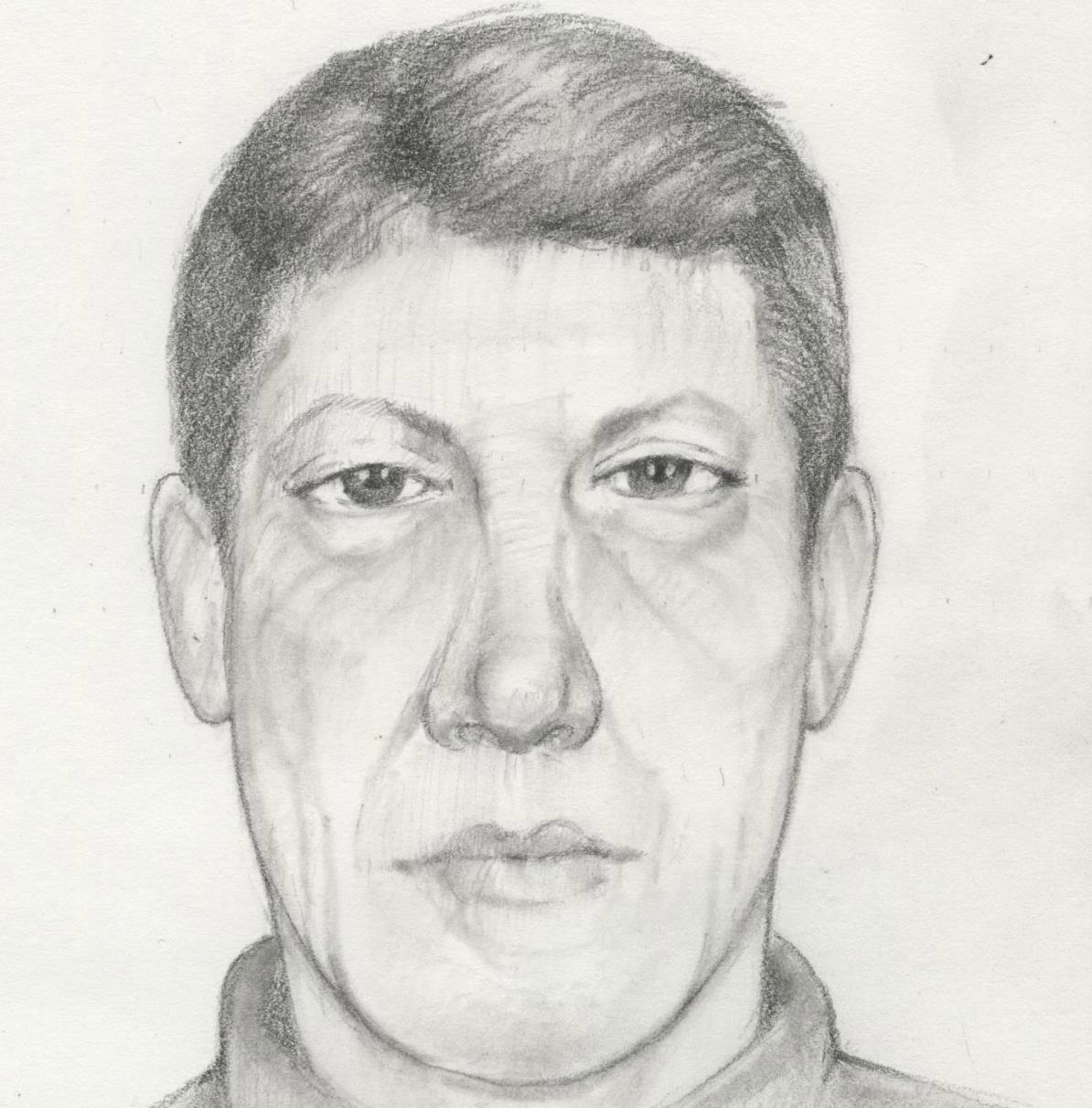 Vpd Search For Suspect In East Vancouver Sex Assault Bc Globalnewsca 3862