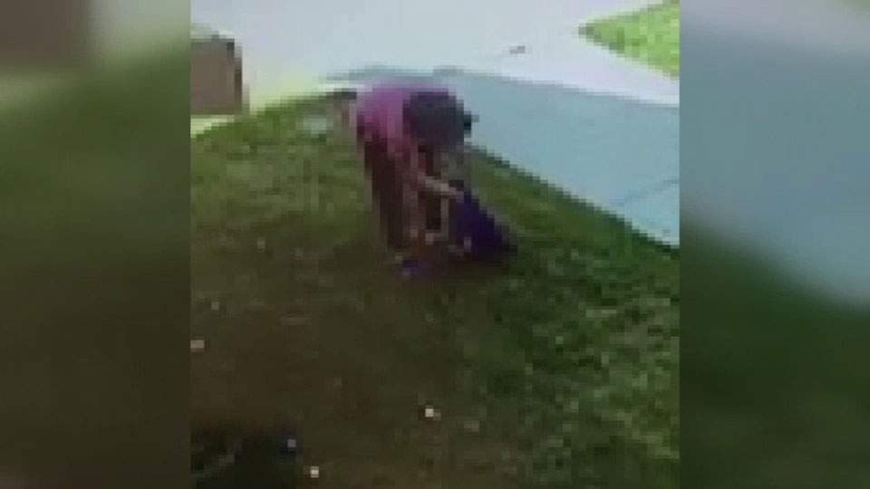 Caught on camera: adults steal Easter eggs off lawn meant for boy with Down syndrome - image