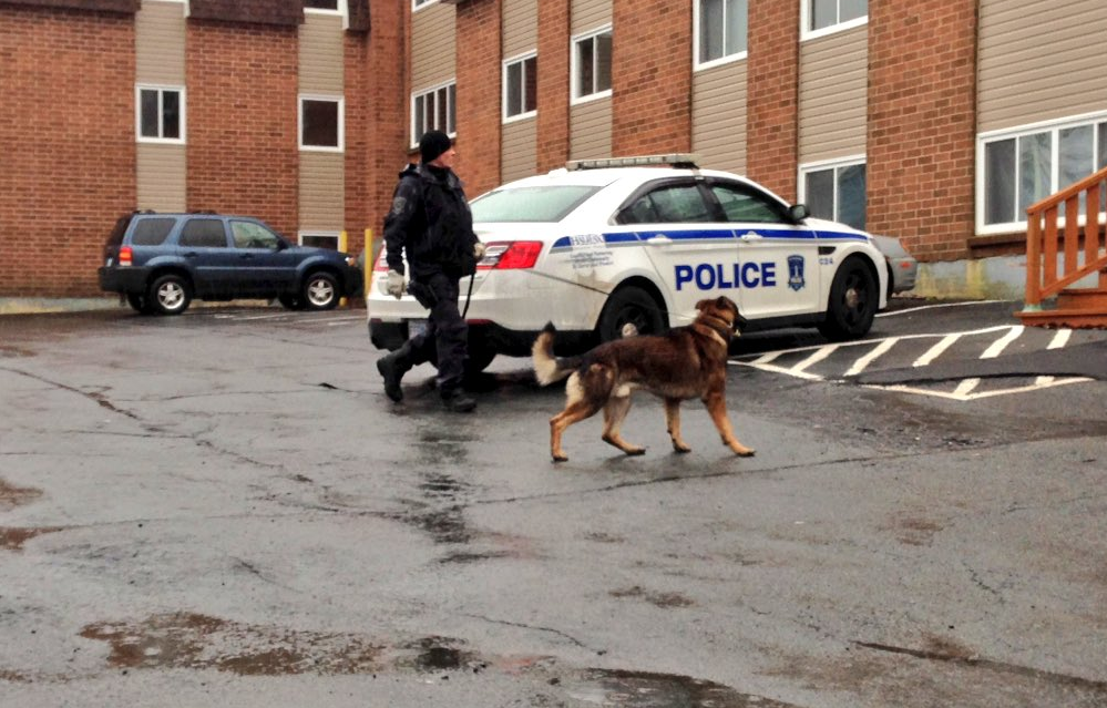 An HRP officer, with K9 partner, are seen at the scene of a suspicious death, later ruled a homicide, on Autumn Drive.