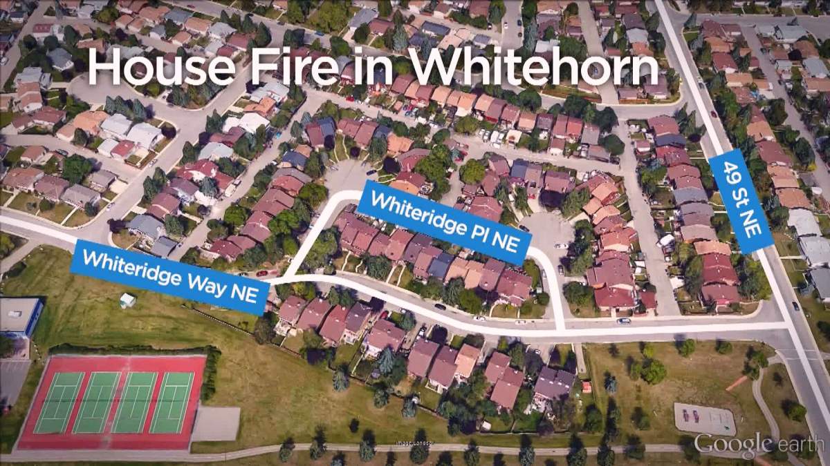 Cat rescued from northeast Calgary house fire - image