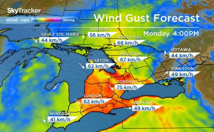 Gusts of up to 80 km/h expected for Greater Toronto Area - image