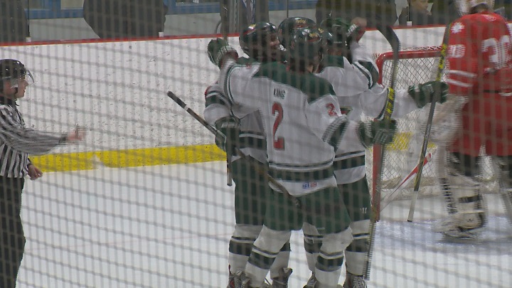The Winnipeg Wild celebrate after a goal in their win over the Notre Dame Hounds.