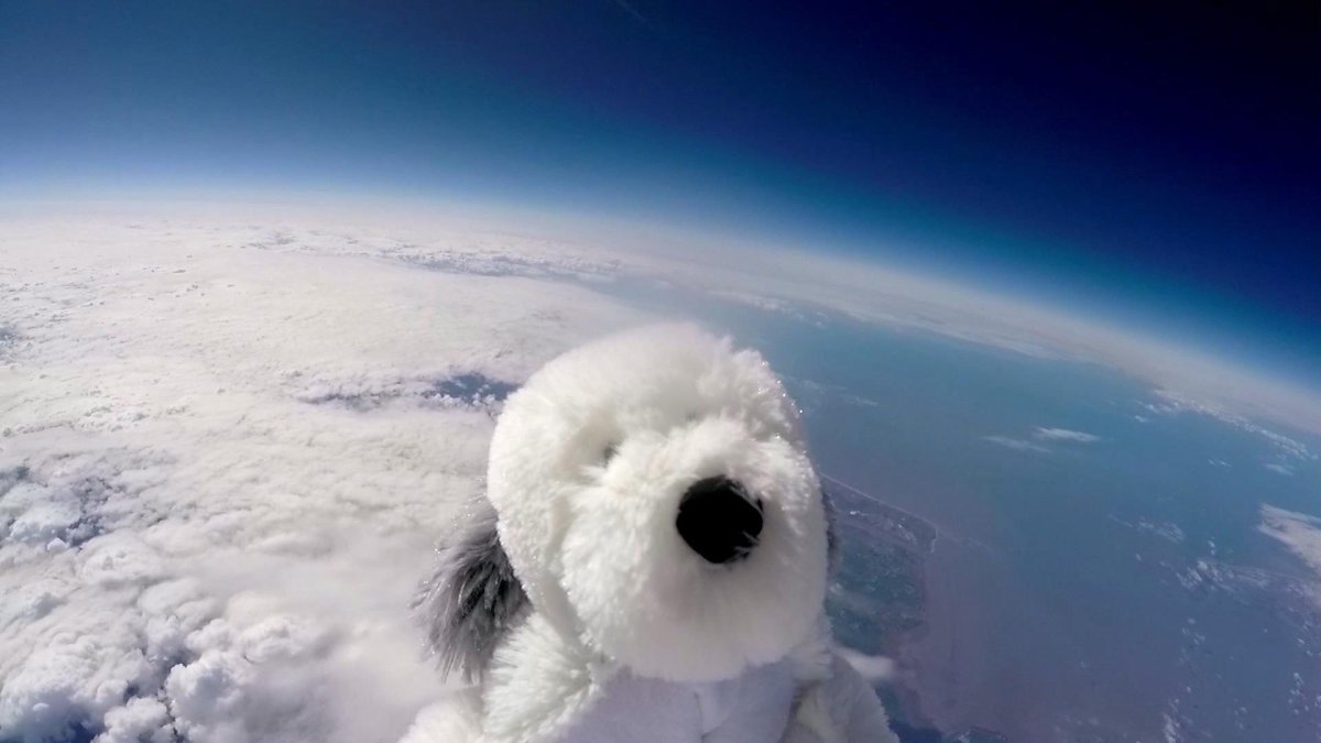 Sam the cuddly toy dog  flies high in the sky after taking off from Morecambe, England Tuesday April 5, 2016 attached to a special camera and a helium balloon. Sending the toy dog into the sky was part of a science project by Morecambe Bay Community Primary School which joined forces with a local hotel . The toy dog reached an altitude of 12 miles above the earth's surface.