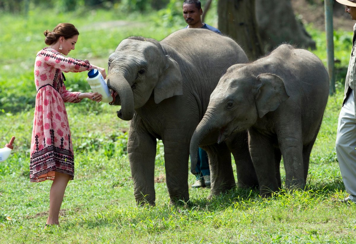 The Duchess of Cambridge feeds a baby elephant during a visit to the Centre for Wildlife Rehabilitation and Conservation in Kaziranga, India, on day four of the Royal tour to India and Bhutan.