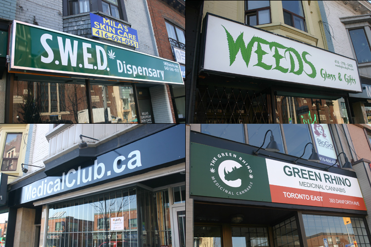 Four marijuana dispensaries line a short stretch of Toronto's Danforth Ave. 