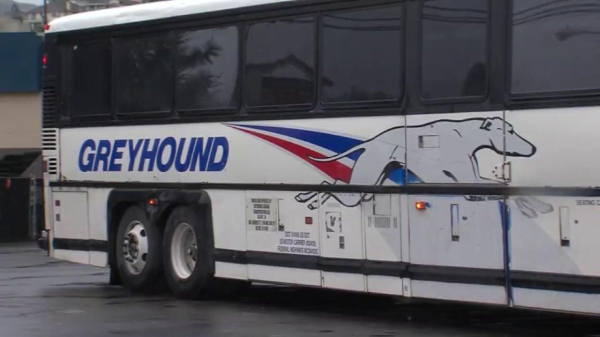 Greyhound bus