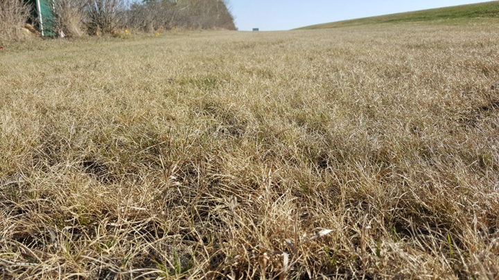 April 30: This Your Saskatchewan photo was snapped by Terry Healey at Silver Lake Regional Park.