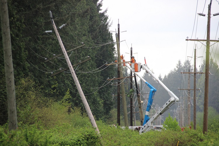 6,000 customers left without power after vandals cut down BC Hydro poles in Surrey - image