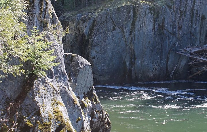 Kayaker dies on Cheakamus River Saturday: Squamish RCMP