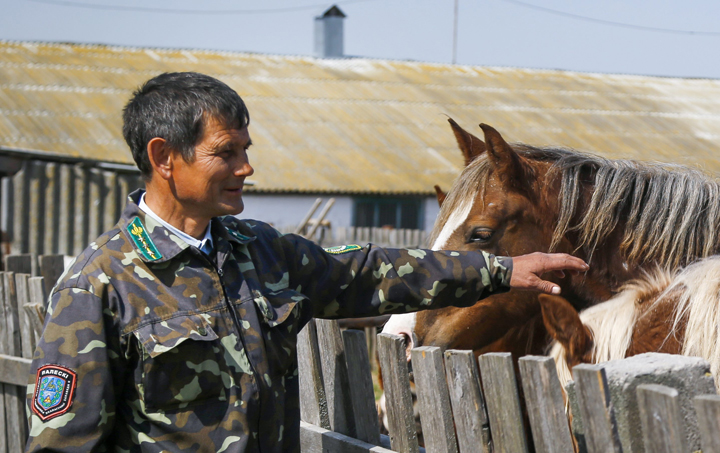 In this photo taken on Monday, April 11, 2016, farm director Mikhail Kirpichenko stands near horses in the village of Vorotets, on land just 45 kilometres north of the Chernobyl nuclear power plant in Ukraine.