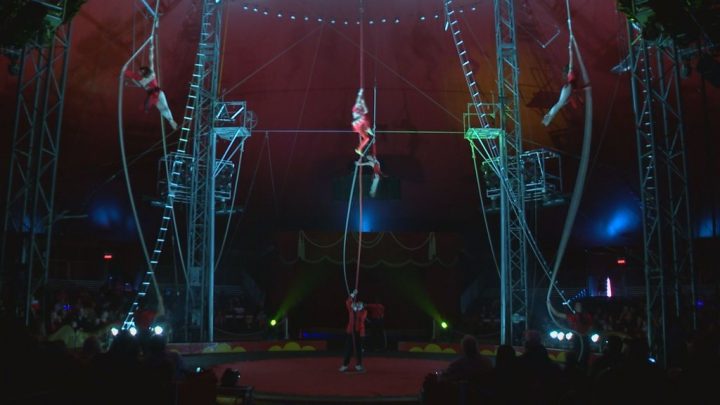 The event chairman of the circus said there has been growing pressure from animal rights advocates to change the format of the Shrine Circus.