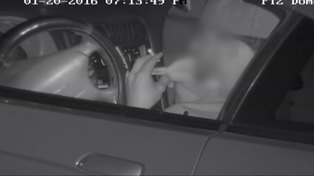 Man installs over 20 security cameras to record ‘illegal activities’ in park - image