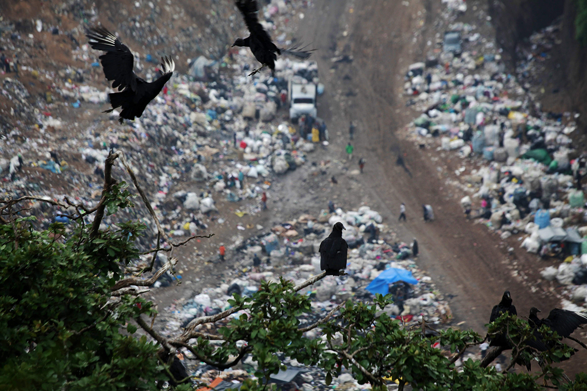 Buzzards fly over a dump in Guatemala City, Thursday, June 3, 2010.