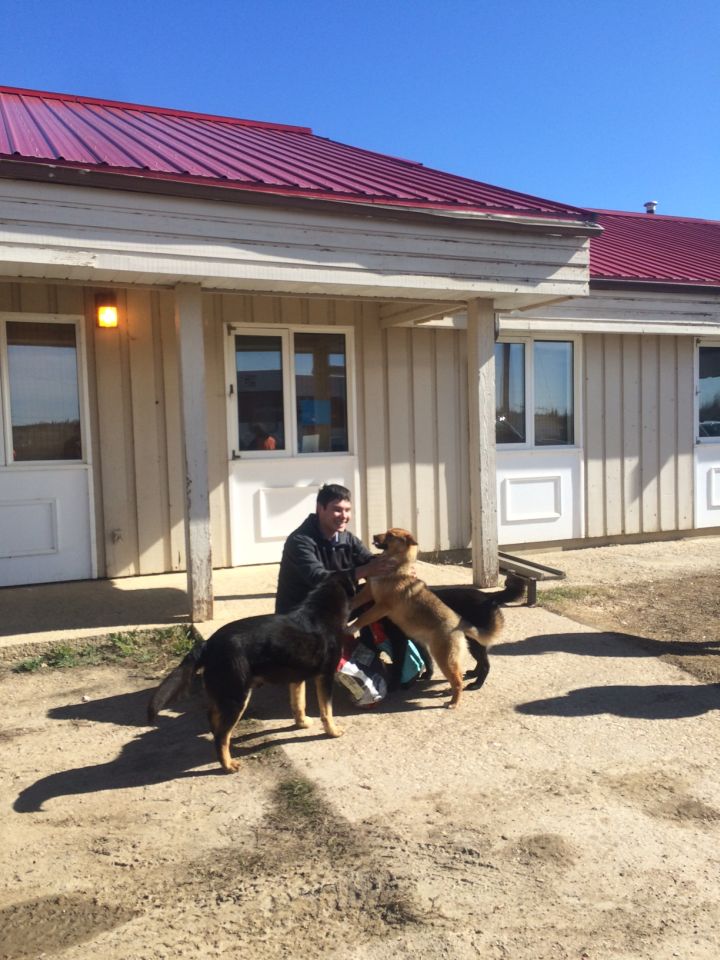 Photos from a trip to Atikameg taken by  the Edmonton Humane Society and the Parkland County Pet Food Bank  on April 16, 2016. 