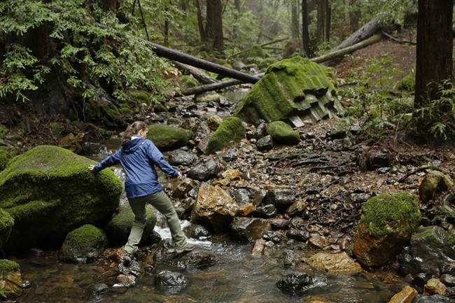 Megan Lilla, a lands program assistant with the Land Trust of Napa Valley, crosses Redwood Creek at the Archer Taylor Preserve in Napa, Calif.