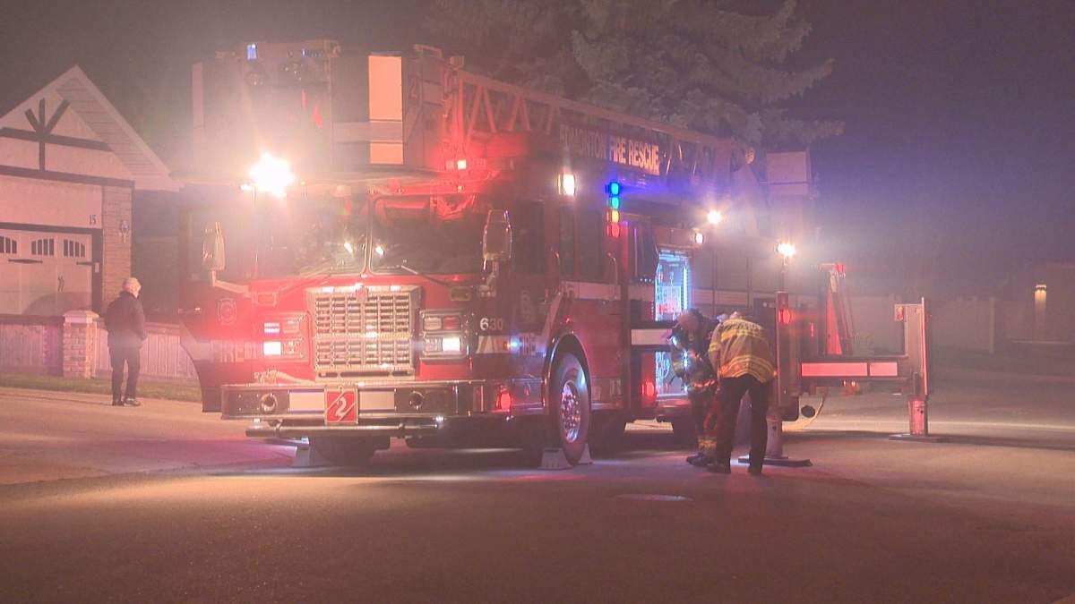 Fire crews battle overnight brush fire in Edmonton river valley - image