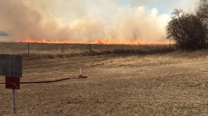 There were no reported injuries or damage, but grass fires managed to consume a lot of time as the Saskatoon Fire Department responded to three blazes.